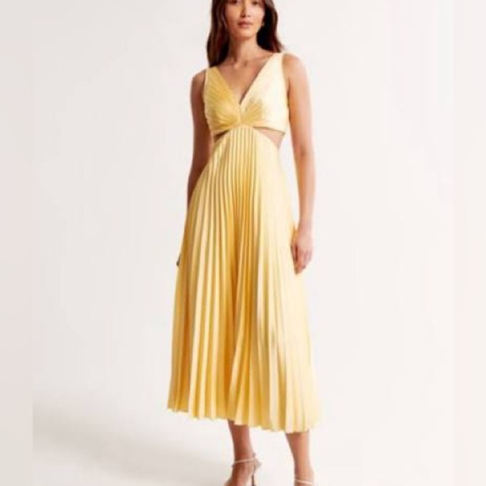 Abercrombie and Fitch Giselle Midi Dress Size XXL